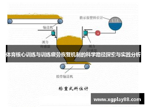 体育核心训练与训练疲劳恢复机制的科学路径探索与实践分析
